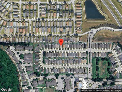 Fan Palm, KISSIMMEE, FL 34747