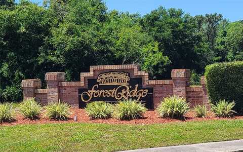 101 WOOD DOVE AVENUE, TARPON SPRINGS, FL 34689
