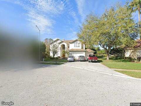Loquat, PALM HARBOR, FL 34685