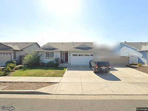 Camellia, LEBANON, OR 97355