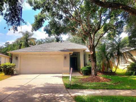 18122 ANTIETAM COURT, TAMPA, FL 33647