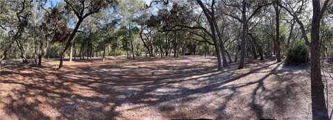 16347 ALBRIGHT ROAD, SPRING HILL, FL 34610