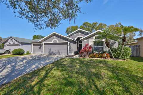 2516 ALLWOOD AVENUE, VALRICO, FL 33596