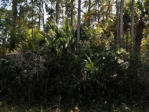 ELDRON AVENUE, NORTH PORT, FL 34286