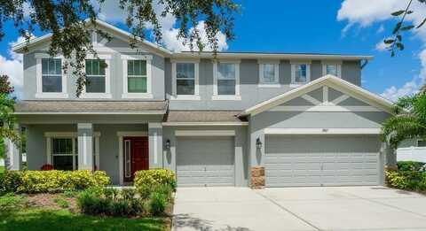 1807 RAVEN MANOR DRIVE, DOVER, FL 33527
