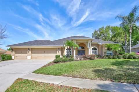 2905 HILLSIDE RAMBLE DRIVE, BRANDON, FL 33511