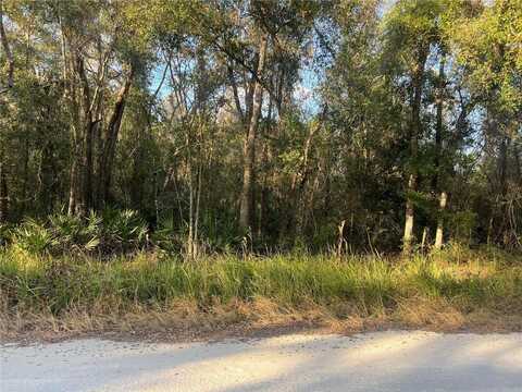 0 GRESHAM ROAD, WEBSTER, FL 33597