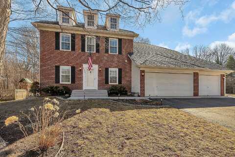 Narcissus, VICTORIA, MN 55386