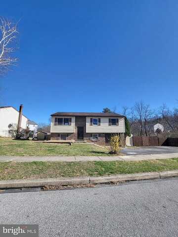 Grove, MOHNTON, PA 19540