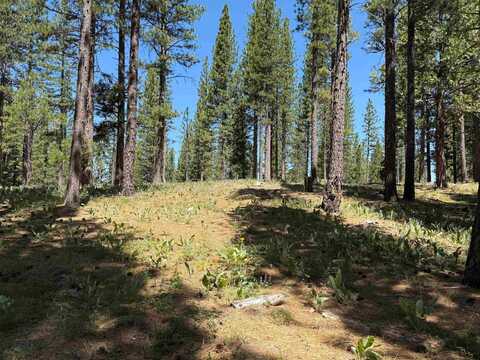 302 Boulder Drive, Clio, CA 96106