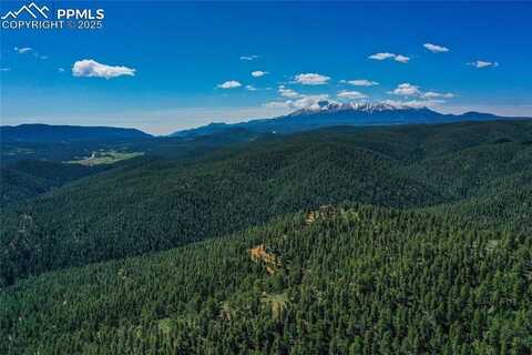 29545 Highway 67, Woodland Park, CO 80863