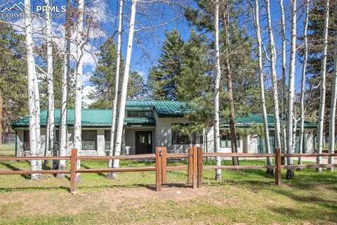 1509 Sunshine Circle, Woodland Park, CO 80863