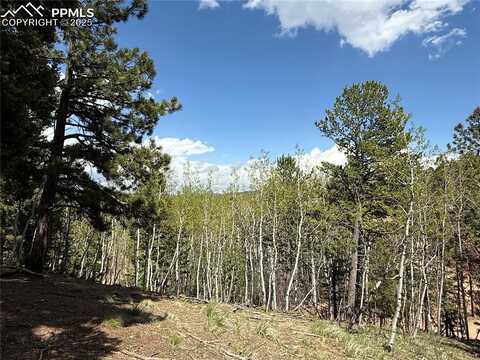 62 Hadatsa Lane, Woodland Park, CO 80863