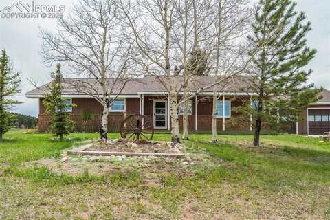 65 Yeoman Lane, Divide, CO 80814