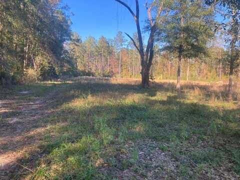 0 Pine Grove Rd, Picayune, MS 39466