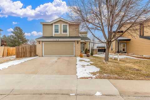 Xavier, WESTMINSTER, CO 80030