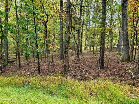 352 Timber Ridge Drive, Hawley, PA 18428