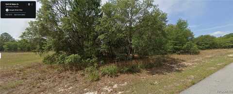 1542 W Belen Drive, Dunnellon, FL 34434
