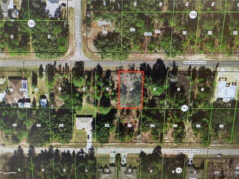 2256 W Galaxy Lane, Citrus Springs, FL 34434