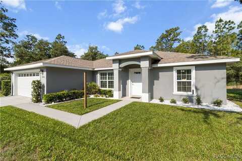9826 N Stafford Drive, Citrus Springs, FL 34433