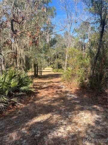 7898 N Howard Hughes Way, Hernando, FL 34442
