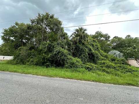 632 N Rooks Avenue, Inverness, FL 34453