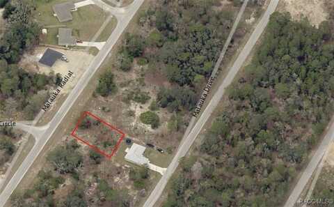 0 Malauka Radial, Ocklawaha, FL 32179