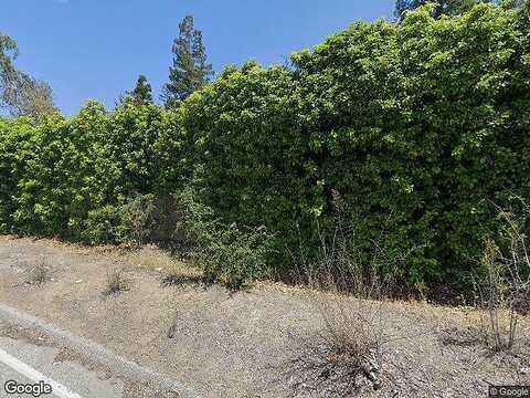 Vineyard, SARATOGA, CA 95070