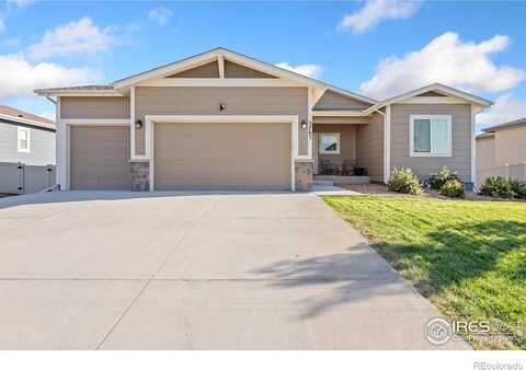 Buckthorn, WELLINGTON, CO 80549