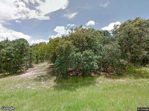 Tortuga, LECANTO, FL 34461