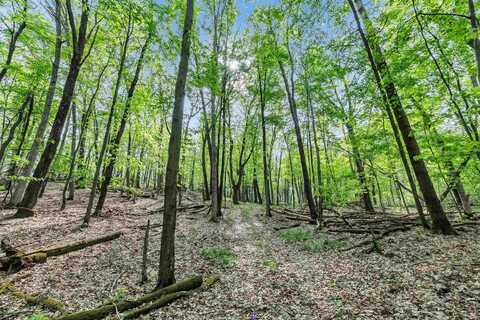 STATE RD 73, WAUTOMA, WI 54982