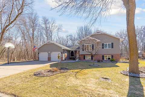 Pine, LESTER PRAIRIE, MN 55354