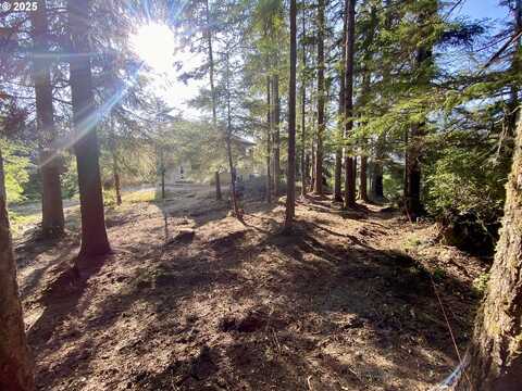 0 18th, Manzanita, OR 97130