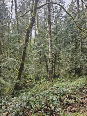 201 PIN CREEK LN, Kelso, WA 98626