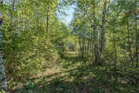 Tbd Tract D Little Pine Road, Brainerd, MN 56401