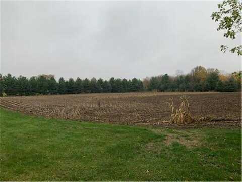 Tbd Harrison Avenue NE, Racine, MN 55967