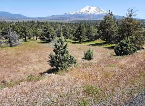 Lot 81 Unit 3 Dwinelle, Weed, CA 96037