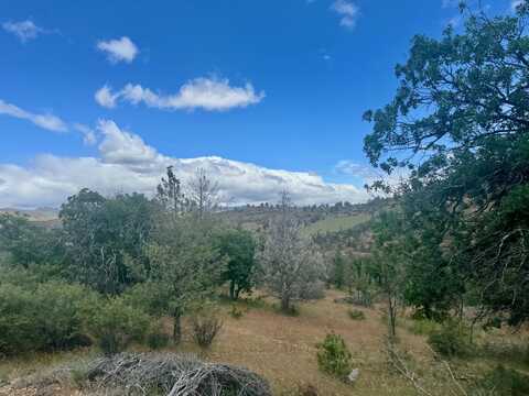 Unit 4 Lot 687 Wolverine Drive, Hornbrook, CA 96044