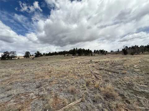 293 YELLOWSTONE ROAD, Hartsel, CO 80449