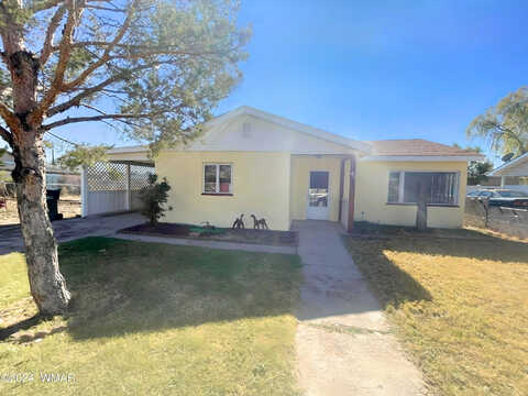 Buffalo, HOLBROOK, AZ 86025
