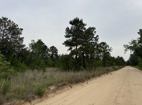 3.19a Finback Road, Wagener, SC 29164