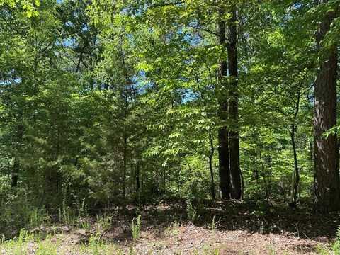 Lot 10 Eccleston LN, Bella Vista, AR 72714