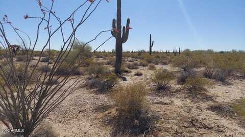 10559 N WILDWOOD Road, Florence, AZ 85132