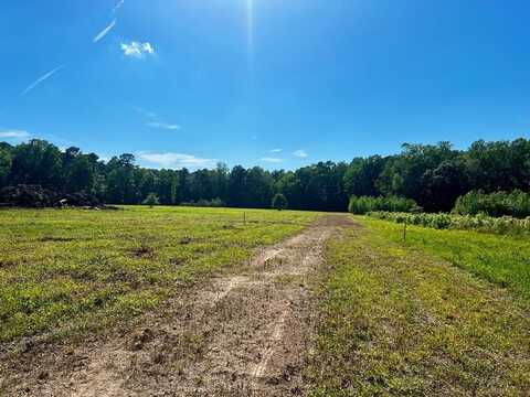 LOTS 1-8 GRAY FARM RD, TEMPERANCEVILLE, VA 23442
