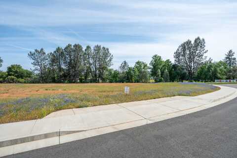 Airport & Rancho Rd. - Lot #21, Redding, CA 96002