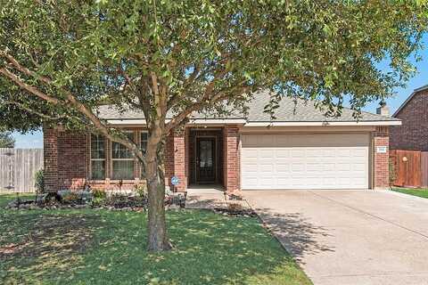 Fountain View, JOSEPHINE, TX 75173