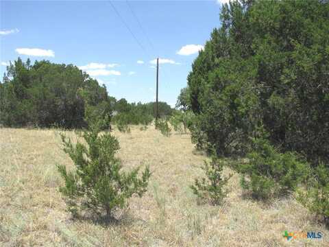 Lot 23 Phase 1 PR 4218, Evant, TX 76525