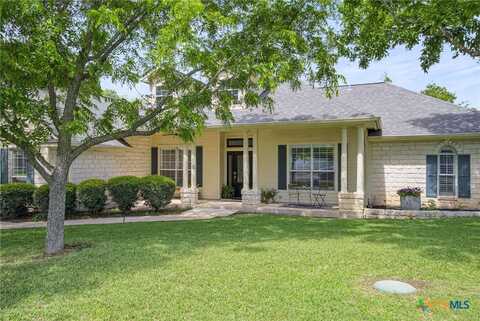 20904 Apache Plum Lane, Pflugerville, TX 78660