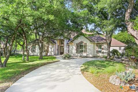 436 Hidden Springs Drive, Spring Branch, TX 78070