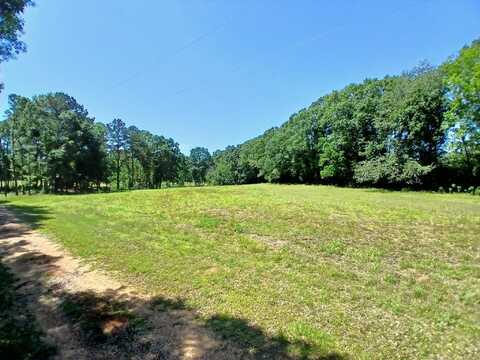 38090 Emmett Carter Road, Mt Hermon, LA 70450